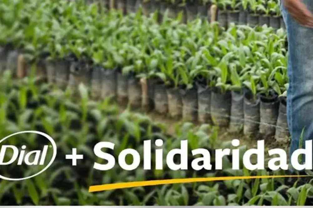 Dial + Solidaridad