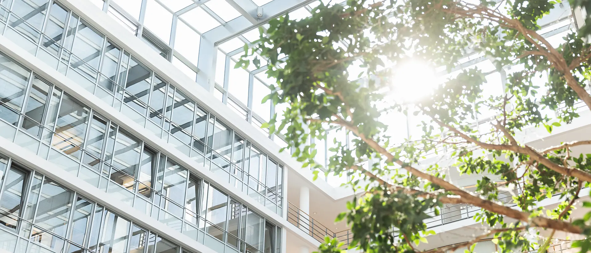Henkel HQ
