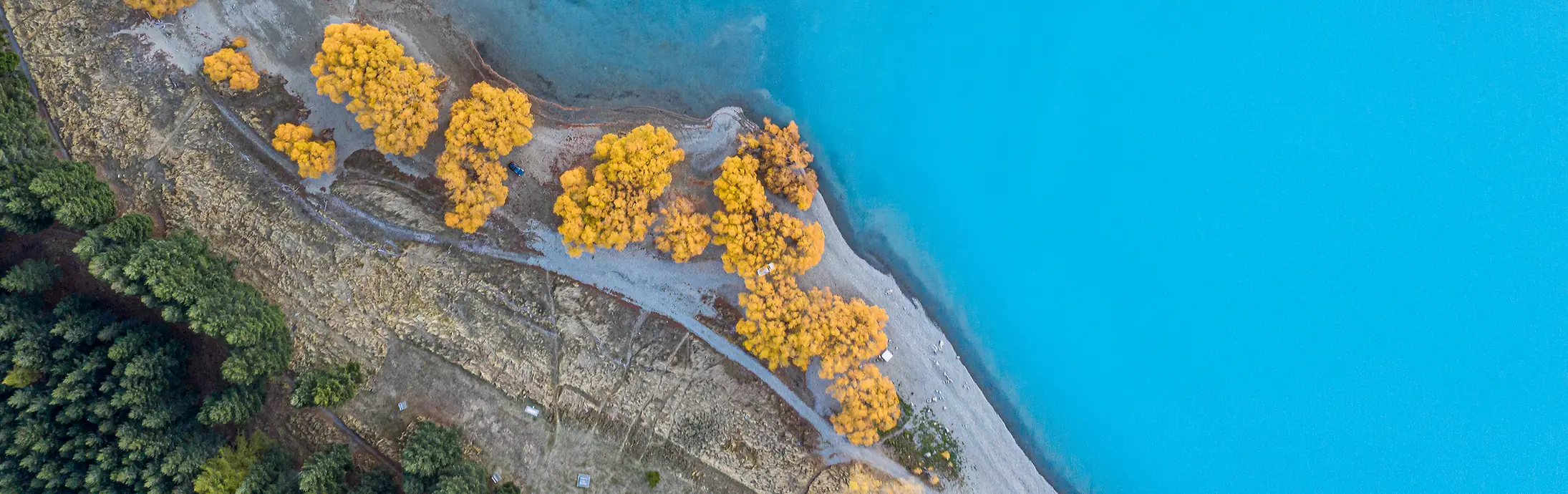 A view from above onto a green forest landscape